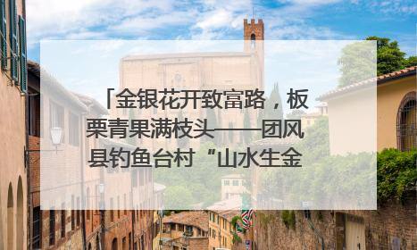 金银花开致富路，板栗青果满枝头——团风县钓鱼台村“山水生金”谱写共富新篇章