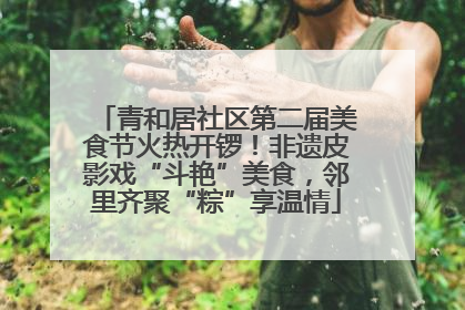 青和居社区第二届美食节火热开锣！非遗皮影戏“斗艳”美食，邻里齐聚“粽”享温情
