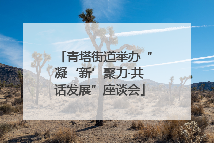 青塔街道举办“凝‘新’聚力·共话发展”座谈会
