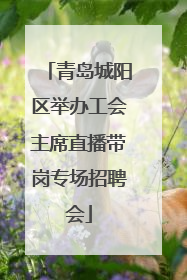 青岛城阳区举办工会主席直播带岗专场招聘会