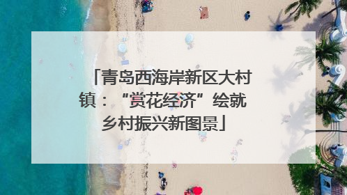 青岛西海岸新区大村镇：“赏花经济”绘就乡村振兴新图景