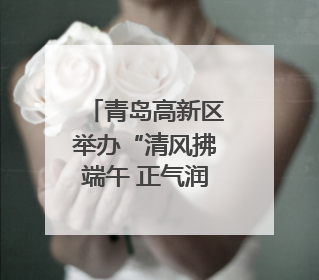 青岛高新区举办“清风拂端午 正气润童心”主题活动