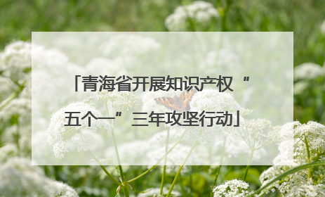 青海省开展知识产权“五个一”三年攻坚行动