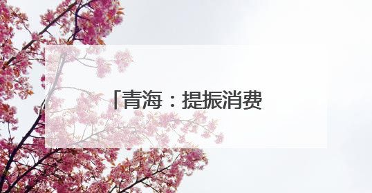 青海：提振消费政策落地显效 消费态势回升向好