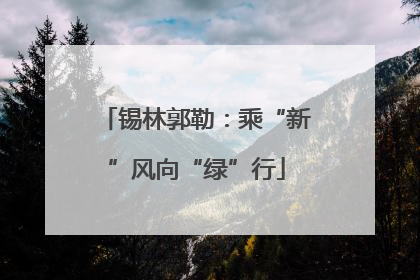 锡林郭勒：乘“新”风向“绿”行