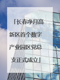 长春净月高新区首个数字产业园区党总支正式成立