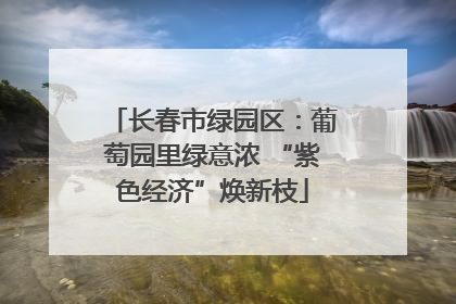 长春市绿园区：葡萄园里绿意浓 “紫色经济”焕新枝