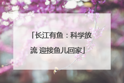 长江有鱼：科学放流 迎接鱼儿回家