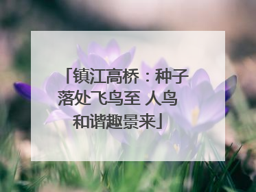 镇江高桥：种子落处飞鸟至 人鸟和谐趣景来