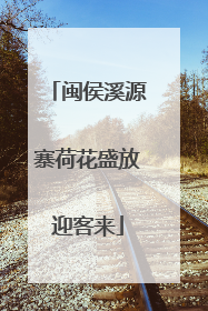闽侯溪源寨荷花盛放迎客来