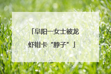 阜阳一女士被龙虾钳卡“脖子”