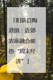 阳新县陶港镇：近郊农旅融合催热“周末经济”