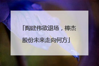 陶建伟欲退场，棒杰股份未来走向何方