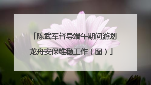 陈武军督导端午期间游划龙舟安保维稳工作（图）