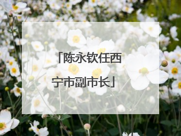 陈永钦任西宁市副市长