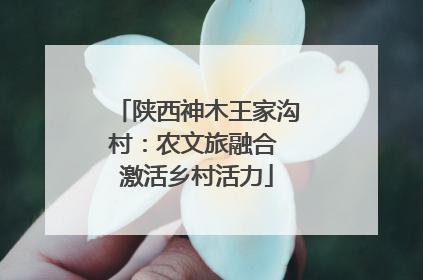 陕西神木王家沟村：农文旅融合 激活乡村活力