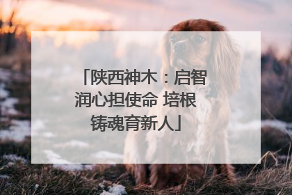 陕西神木：启智润心担使命 培根铸魂育新人