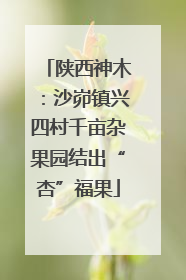 陕西神木：沙峁镇兴四村千亩杂果园结出“杏”福果