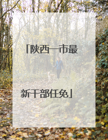 陕西一市最新干部任免