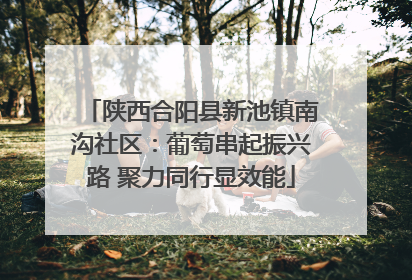 陕西合阳县新池镇南沟社区：葡萄串起振兴路 聚力同行显效能