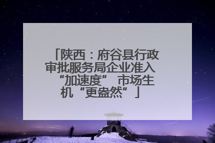 陕西：府谷县行政审批服务局企业准入“加速度” 市场生机“更盎然”