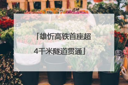 雄忻高铁首座超4千米隧道贯通
