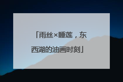 雨丝×睡莲，东西湖的油画时刻