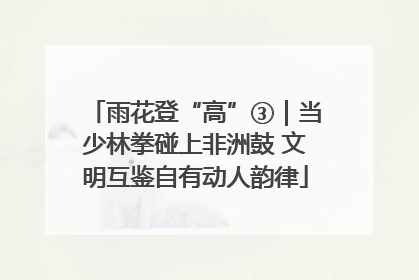 雨花登“高”③｜当少林拳碰上非洲鼓 文明互鉴自有动人韵律