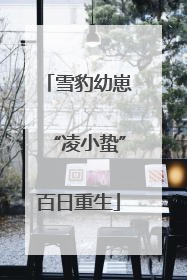 雪豹幼崽“凌小蛰”百日重生