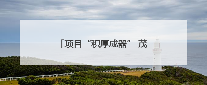 项目“积厚成器” 茂名县域经济释放新动能