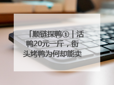 顺链探鸭①｜活鸭20元一斤，街头烤鸭为何却能卖到20多元一只