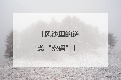 风沙里的逆袭“密码”
