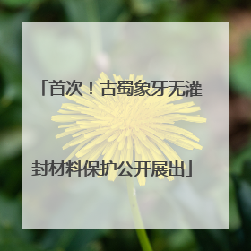 首次！古蜀象牙无灌封材料保护公开展出