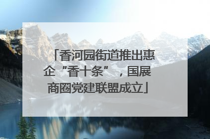 香河园街道推出惠企“香十条”，国展商圈党建联盟成立