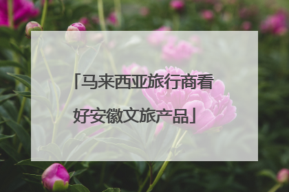 马来西亚旅行商看好安徽文旅产品