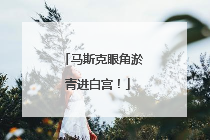 马斯克眼角淤青进白宫！