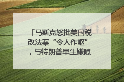 马斯克怒批美国税改法案“令人作呕”，与特朗普早生嫌隙？｜国际识局