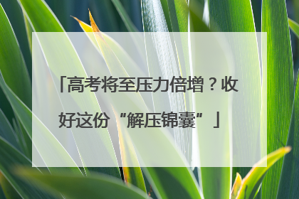 高考将至压力倍增？收好这份“解压锦囊”