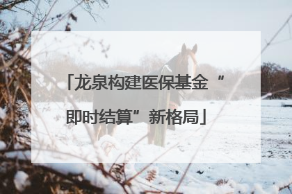 龙泉构建医保基金“即时结算”新格局