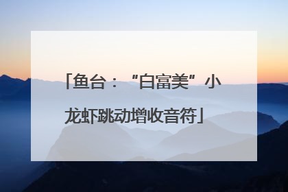 鱼台：“白富美”小龙虾跳动增收音符