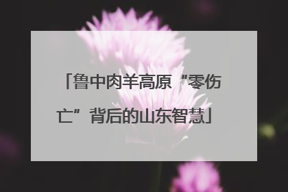 鲁中肉羊高原“零伤亡”背后的山东智慧
