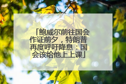 鲍威尔前往国会作证前夕，特朗普再度呼吁降息：国会该给他上上课