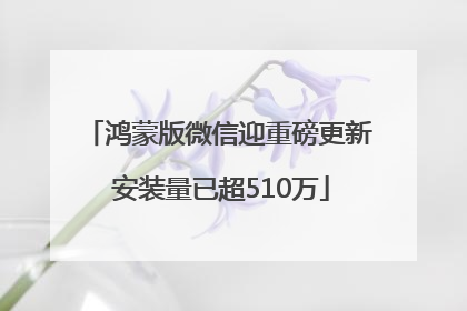 鸿蒙版微信迎重磅更新 安装量已超510万