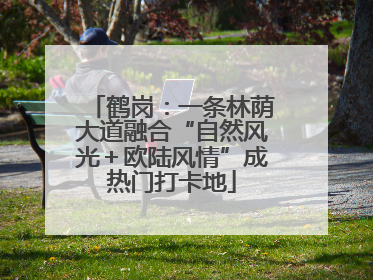 鹤岗：一条林荫大道融合“自然风光＋欧陆风情”成热门打卡地