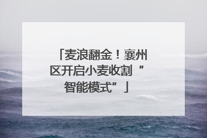 麦浪翻金！襄州区开启小麦收割“智能模式”