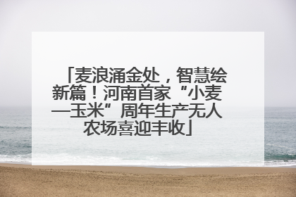 麦浪涌金处，智慧绘新篇！河南首家“小麦—玉米”周年生产无人农场喜迎丰收