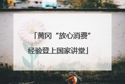 黄冈“放心消费”经验登上国家讲堂