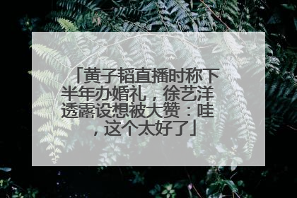 黄子韬直播时称下半年办婚礼，徐艺洋透露设想被大赞：哇，这个太好了