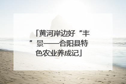 黄河岸边好“丰”景——合阳县特色农业养成记