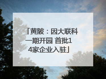 黄陂：因大联科一期开园 首批14家企业入驻